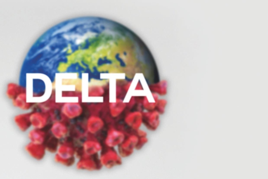 Covid 19 Delta Variant You Need to Know