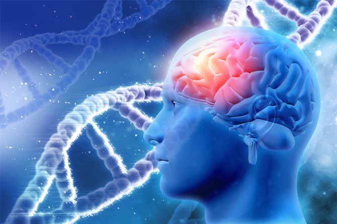 Understanding Epilepsy: Dispelling Myths and Knowing What to Do During a Seizure